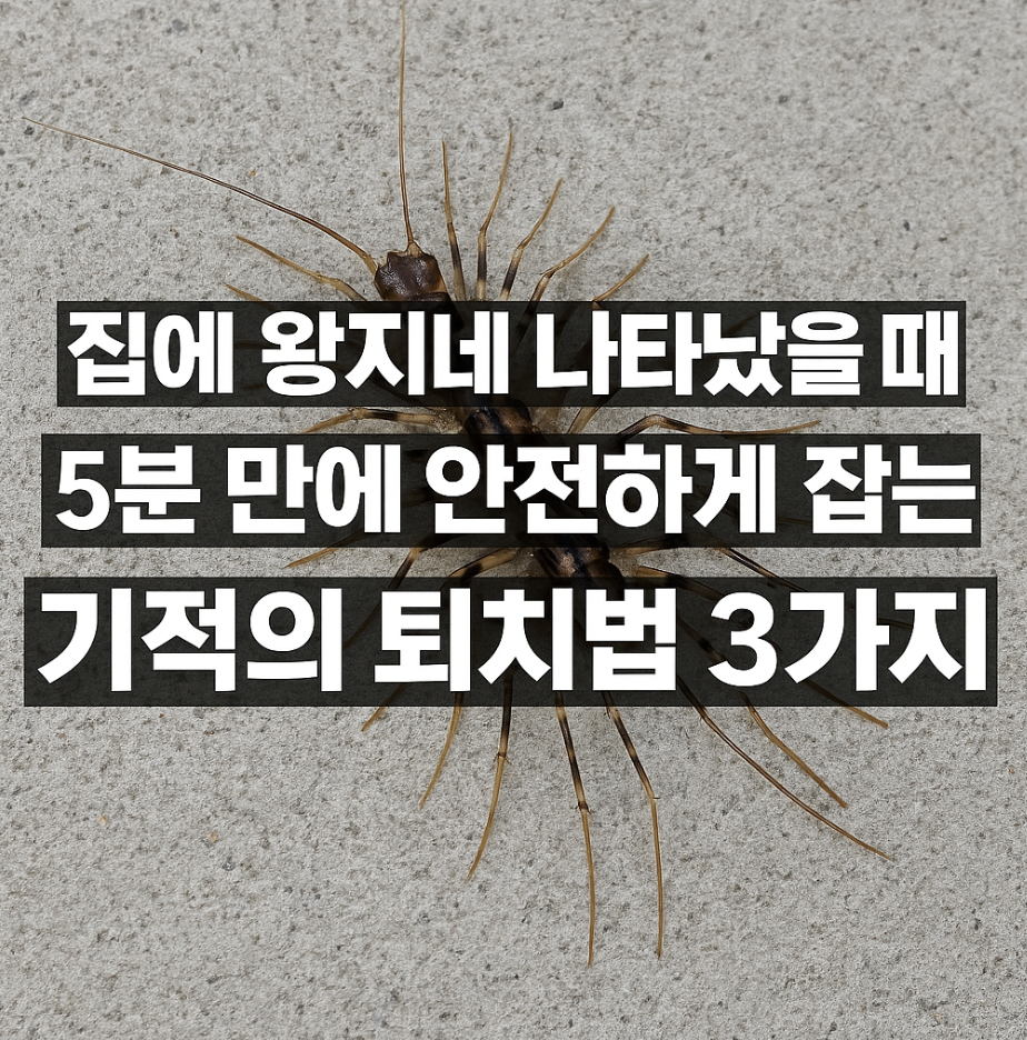 집에 왕지네 나타났을 때, 5분 만에 안전하게 잡는 기적의 퇴치법 3가지