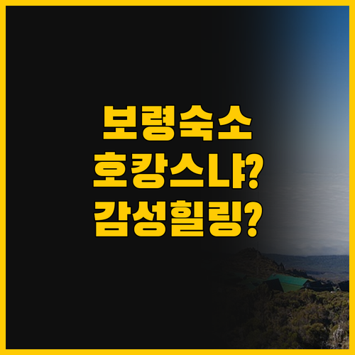 당신의 보령 여행 스타일은 대천 에스..