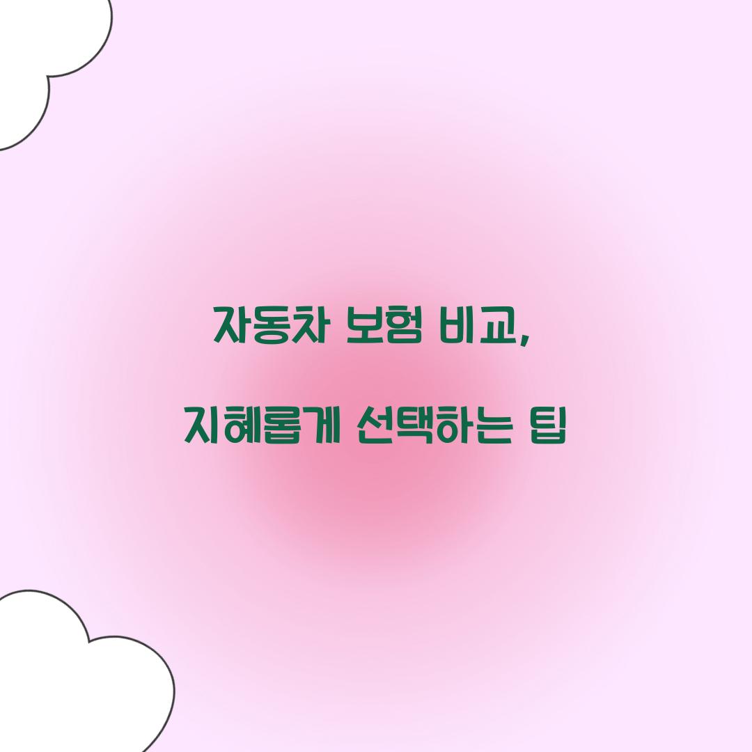 자동차 보험 비교