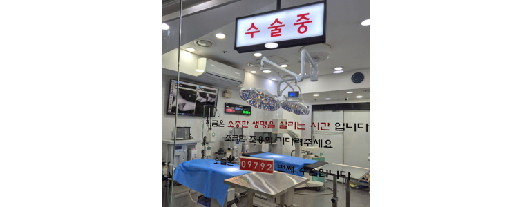 부천 원미구 동물병원