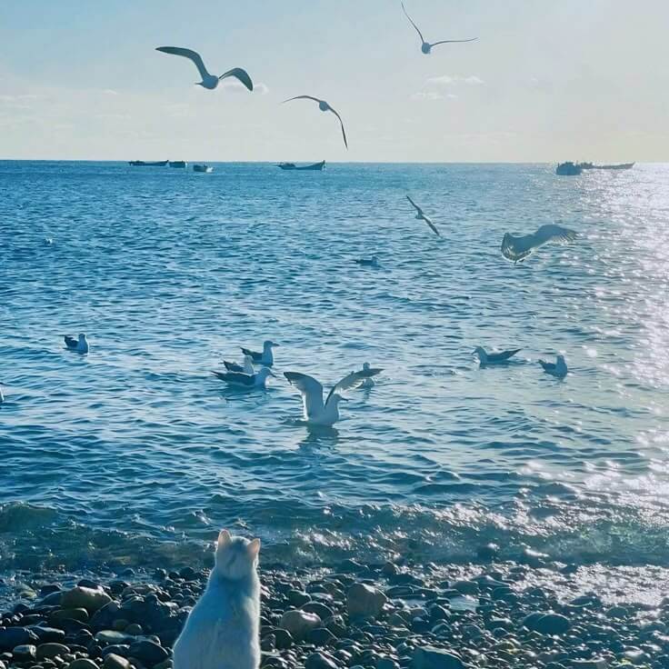 차박 초보자를 위한 장비 체크리스트