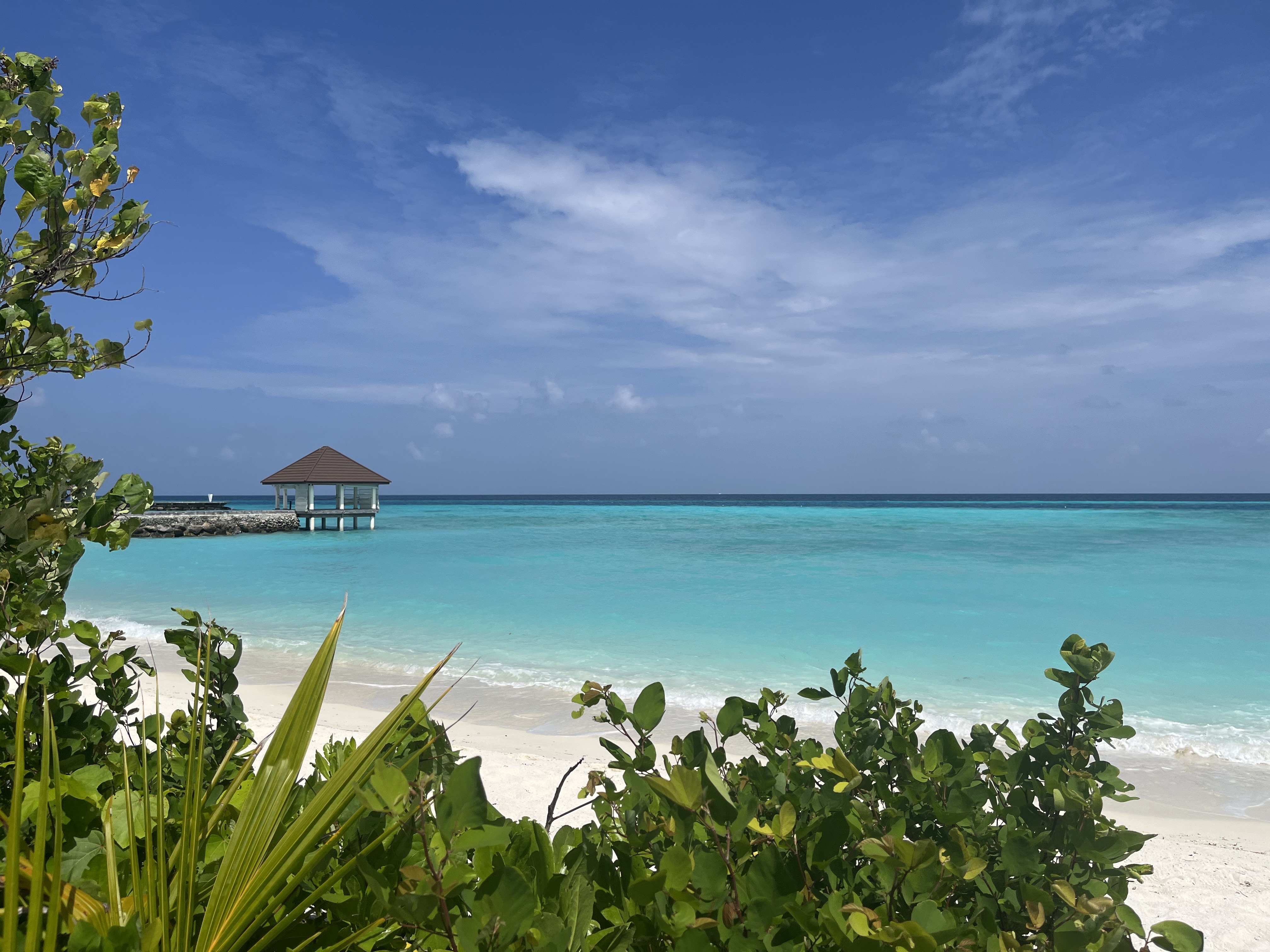 몰디브 바루바이앳모스피어