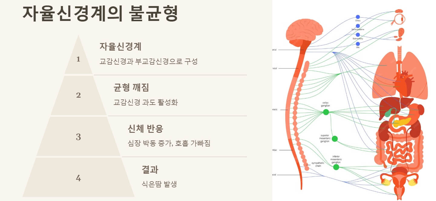 밤에 잘때 식은땀 나는 이유