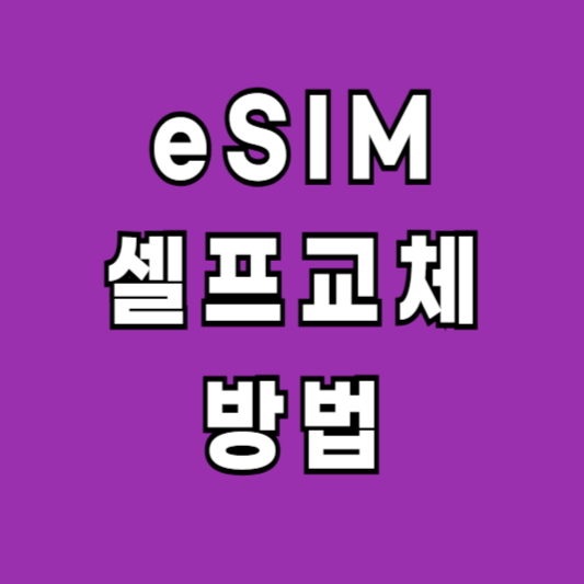 eSIM 셀프교체 무료교체 방법
