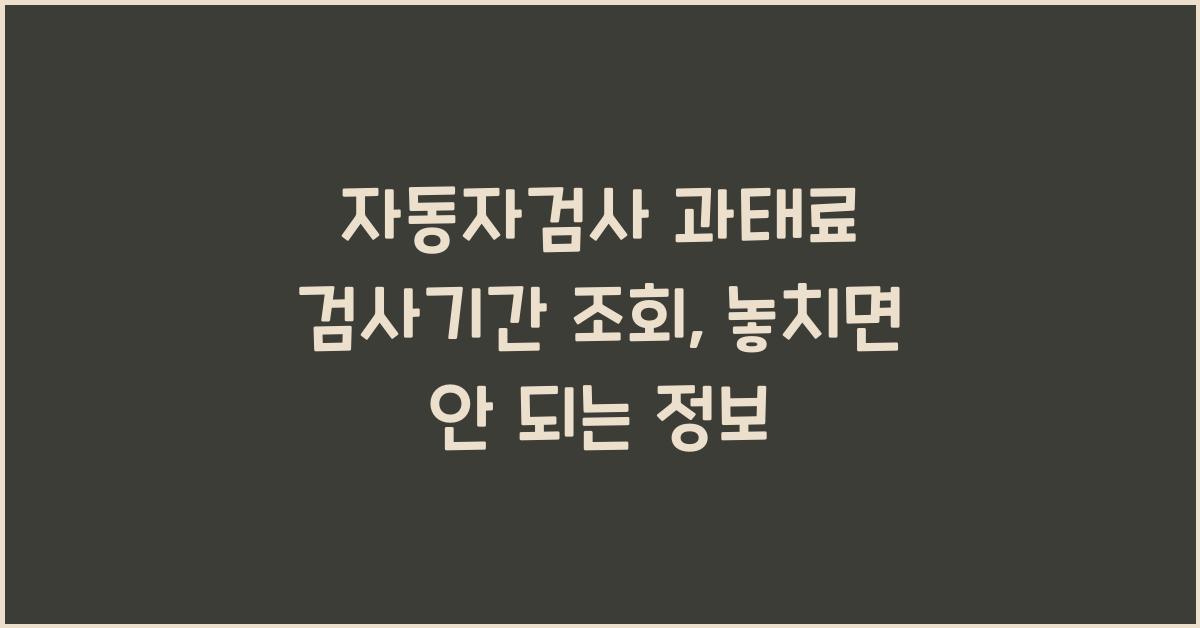자동자검사 과태료 검사기간 조회