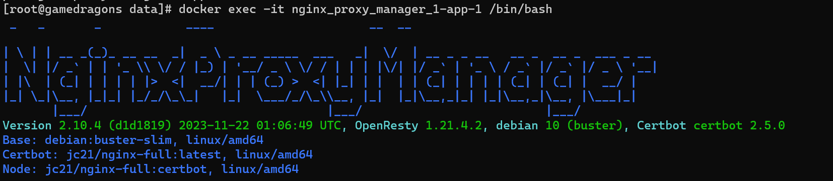 nginx 설정 파일 확인 시 구동 화면