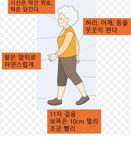 60대 낙상 예방을 위한 운동과 생활습관, 실천 가능한 전략