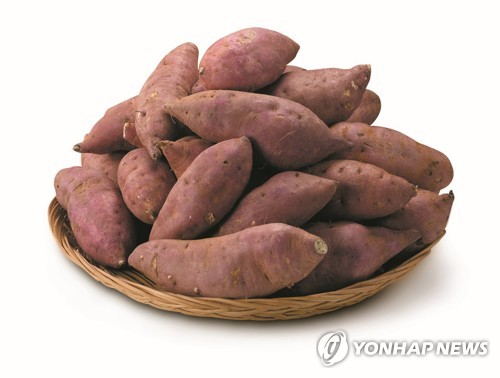 근육량 늘리는 방법