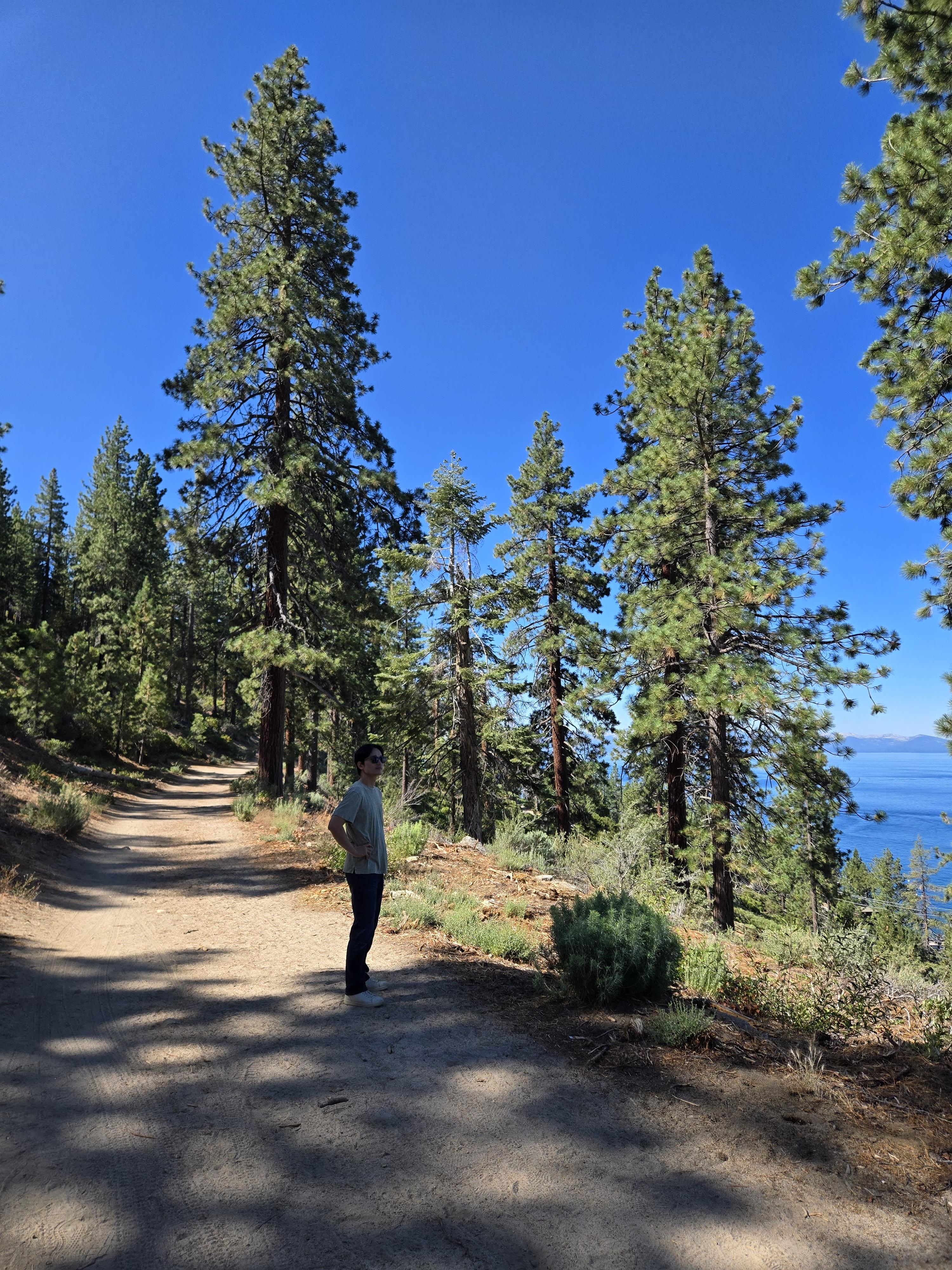 🌲 가족과 함께 떠난 타호레이크 1박 2일 여행기 2, 둘째날 (Family Trip to Lake Tahoe) 관련사진