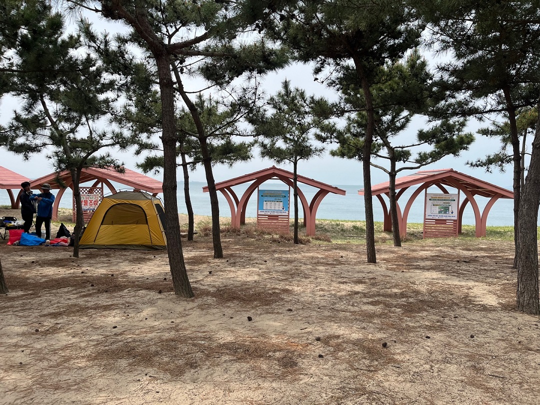 대이작도 민박1박6식 배편 풀등 펜션