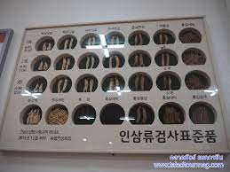 설날 선물 추천 BEST 6 가족 편 - 홍삼