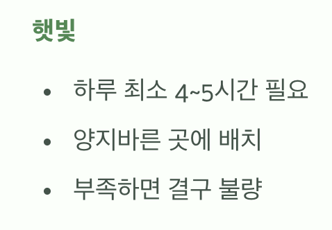 물과 햇빛, 가장 기본적인 관리