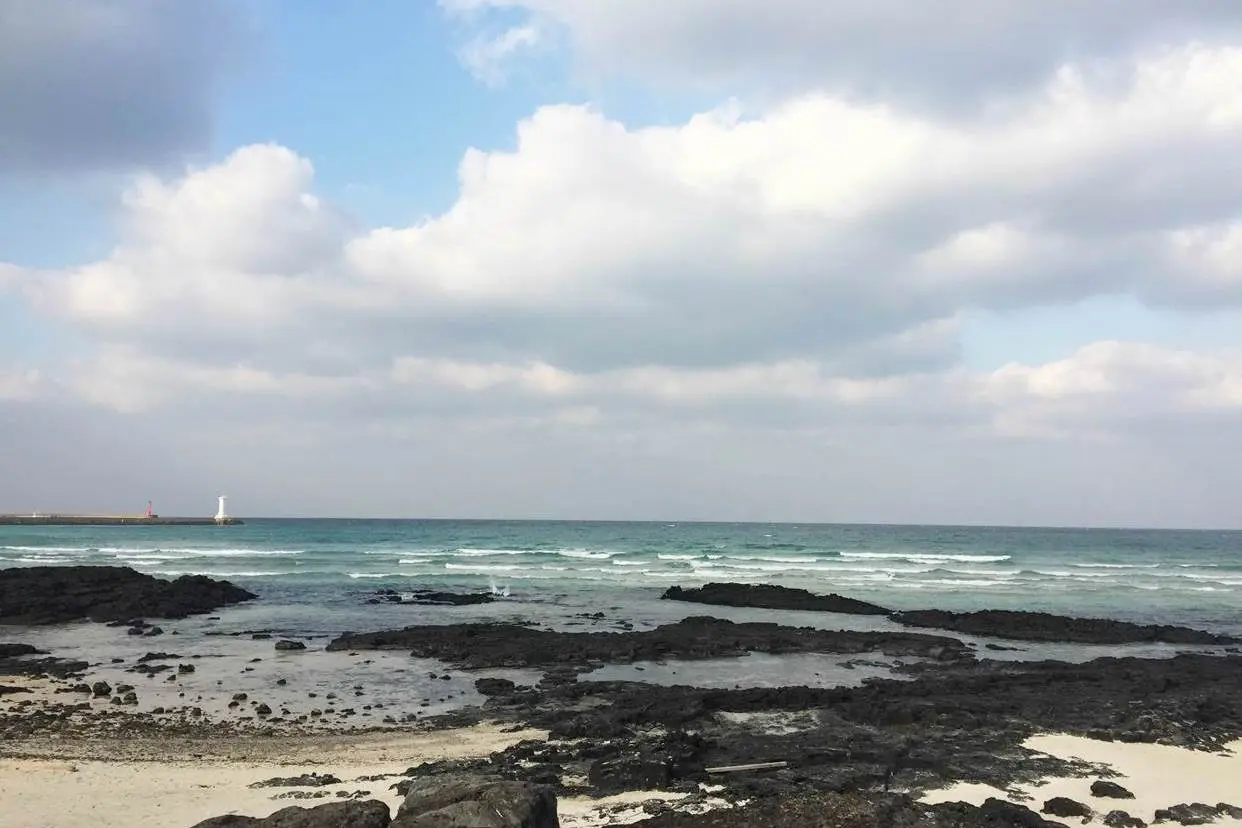 제주 세화해변 조용한 바다 풍경 관련 사진 (출처: 제주관광공사 홈페이지)