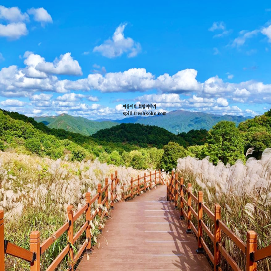 철원 가볼만한곳