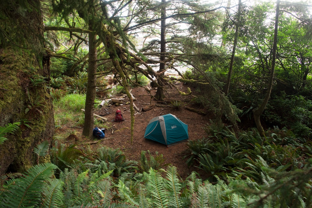 campsite