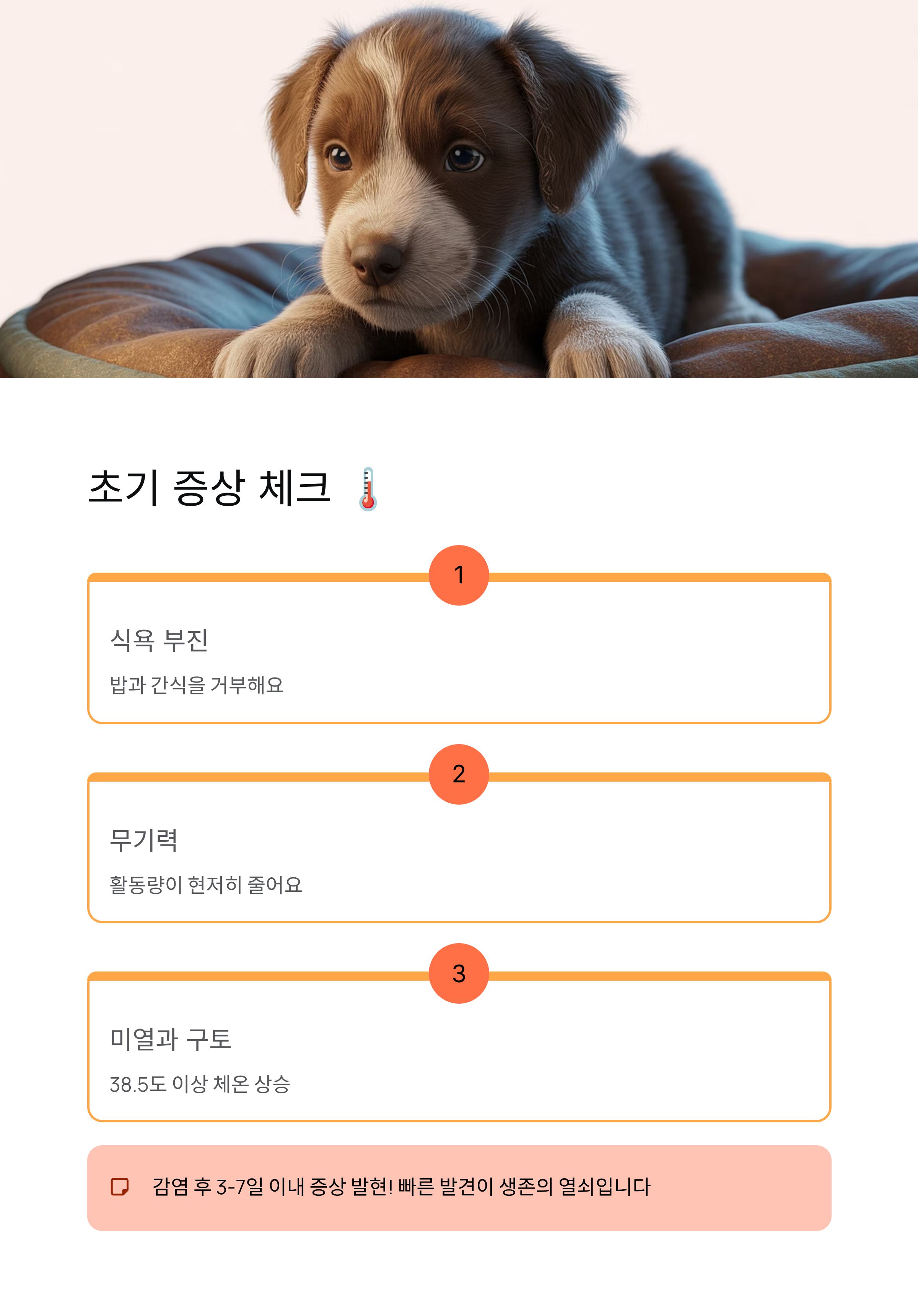 강아지 파보 🚨 증상·치료·예방접종 완벽 가이드!