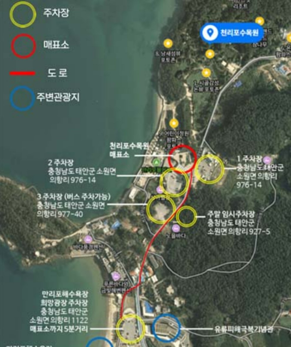 천리포수목원 목련축제