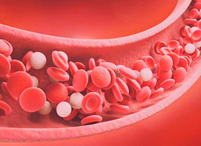 면역력 강화 팁