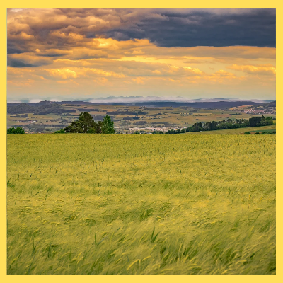 농어민공익수당 신청