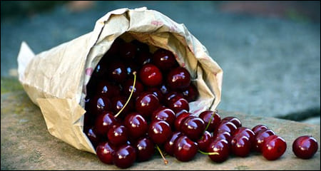 타트 체리 바구니