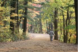 국립공원 예약통합시스템 바로가기