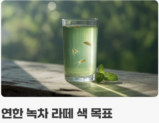 마법의 밥, '녹조(클로렐라)' 먹이기