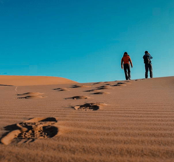 몽골 고비 사막 투어: 인생샷 코스 &amp;숨겨진 명소