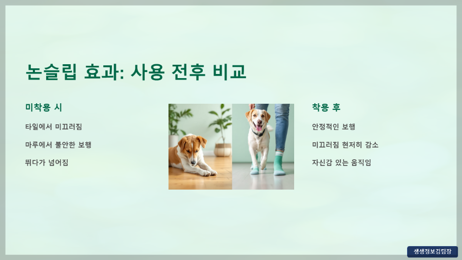 강아지 미끄럼방지 양말
