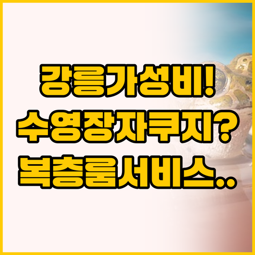 강릉 가성비 펜션 총정리 수영장 자쿠..