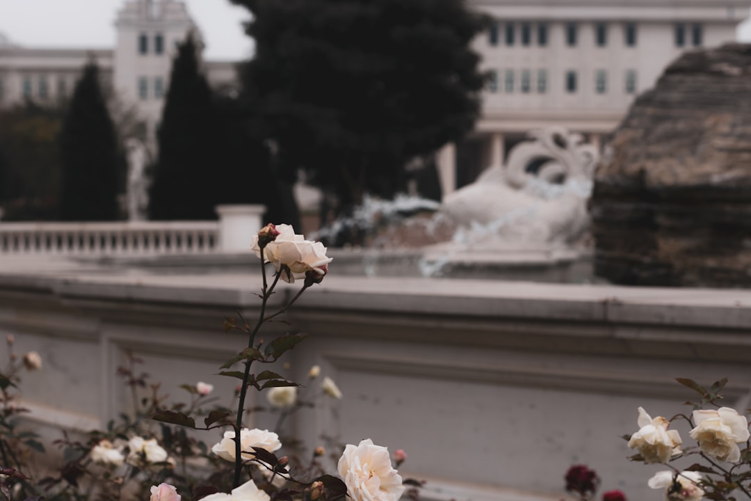 Romanticism