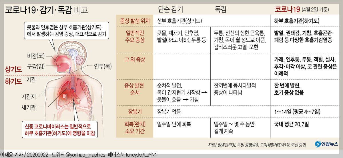 몸살감기 코로나 차이(출처 연합뉴스)