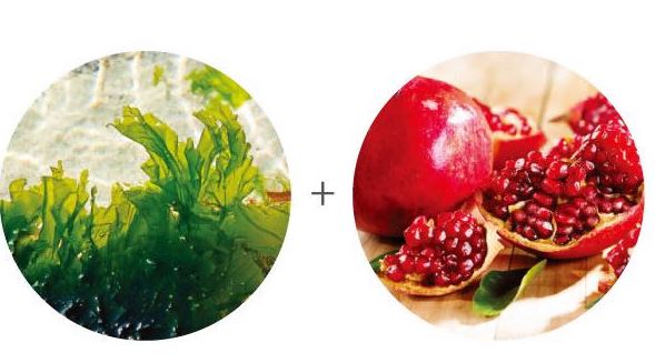 푸응-나이트버닝-특징