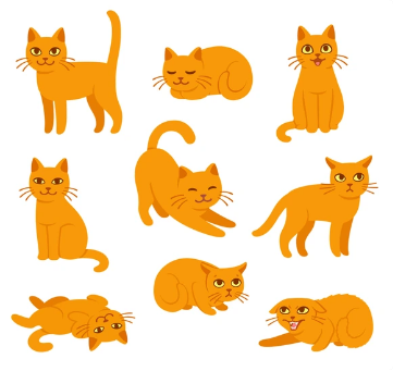 고양이 행동 언어 이미지