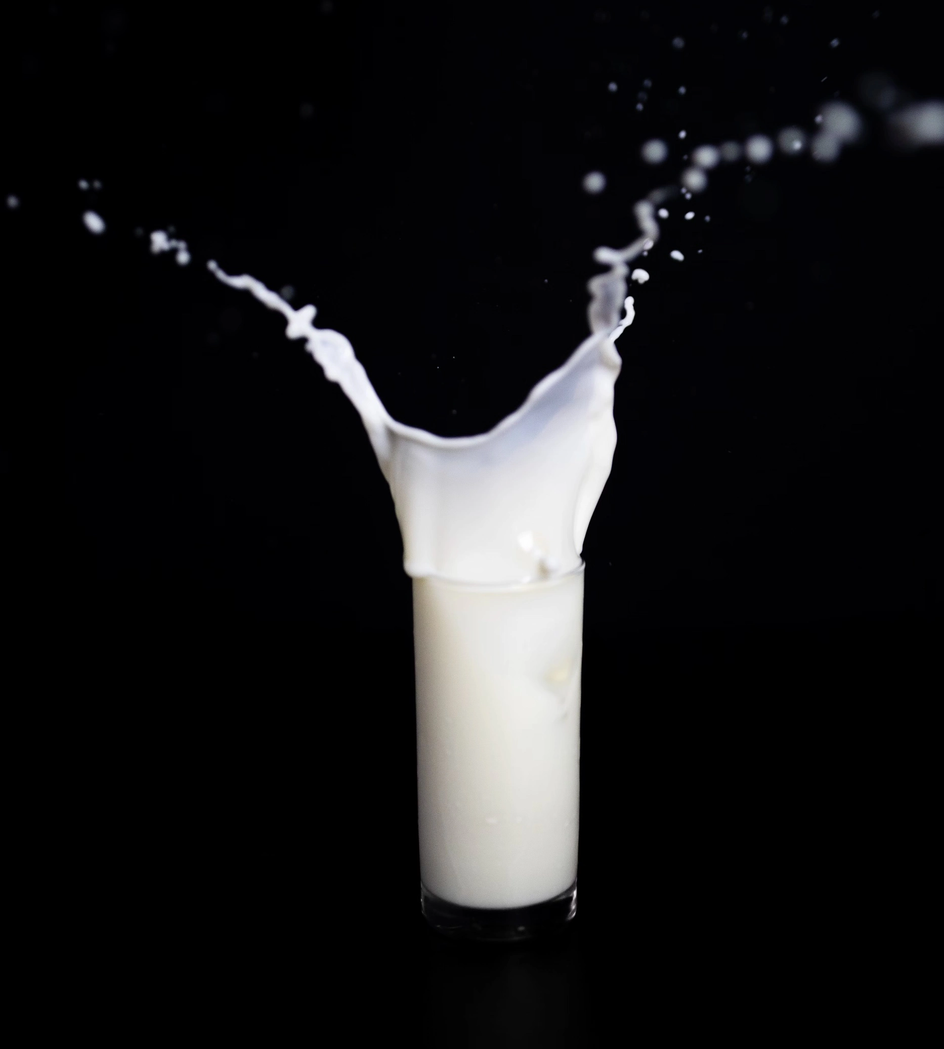 우유 효능 부작용