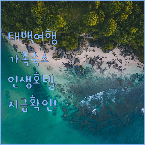 가족 여행에 딱 좋은 태백 숙소 추천..