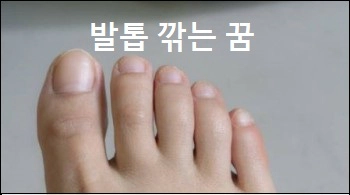 발톱 깎는 꿈