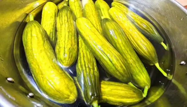 오이지 담그는 법