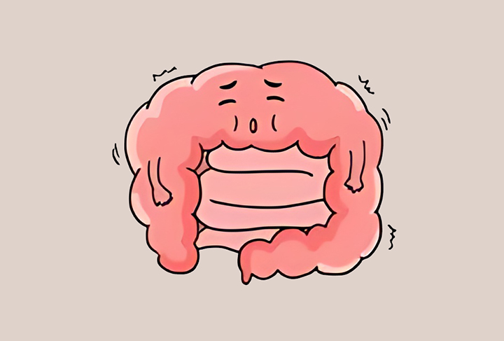 소화불량인-장의-모습