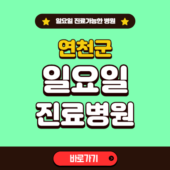 연천군 일요일 진료 가능한 병원 ❘ 주말 문여는 곳 총정리 (소아과, 내과, 안과, 치과, 피부과, 정형외과, 산부인과)