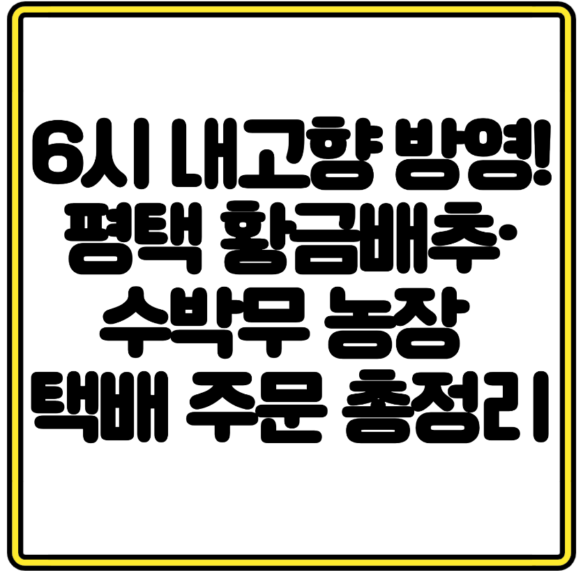 6시 내고향 방영! 평택 황금배추&middot;수박무 농장 택배 주문 총정리