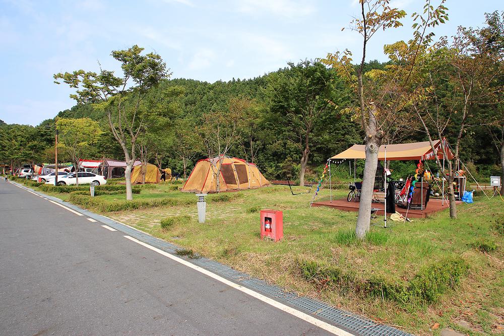 충청남도 금산군 인삼골오토캠핑장 소개