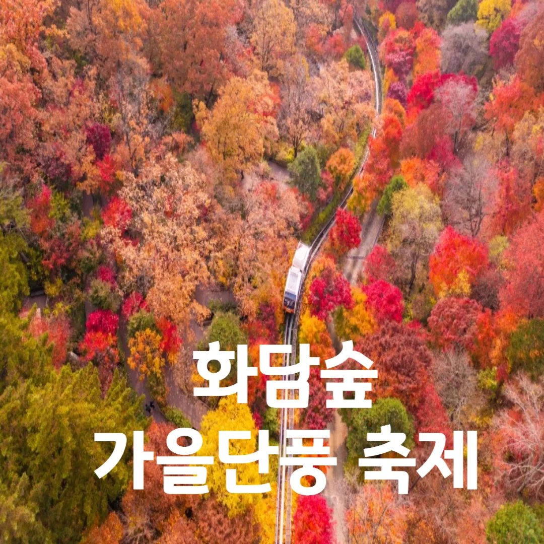 화담숲 가을 단풍축제