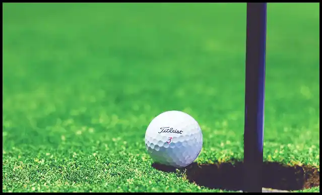 파크골프의 기본자세 (+ 퍼터 )