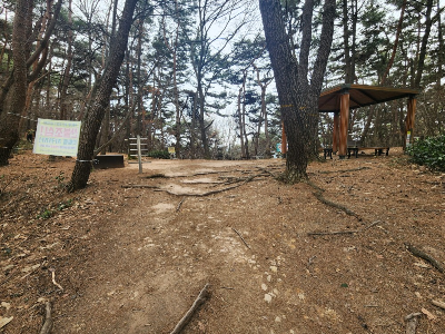 중간체육장