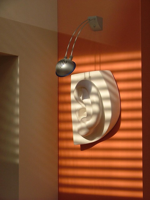 돌발성 난청 관련이미지