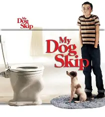 마이 독 스킵 관련 사진