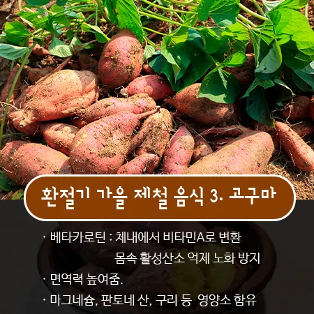 환절기 가을 건강 관리법
