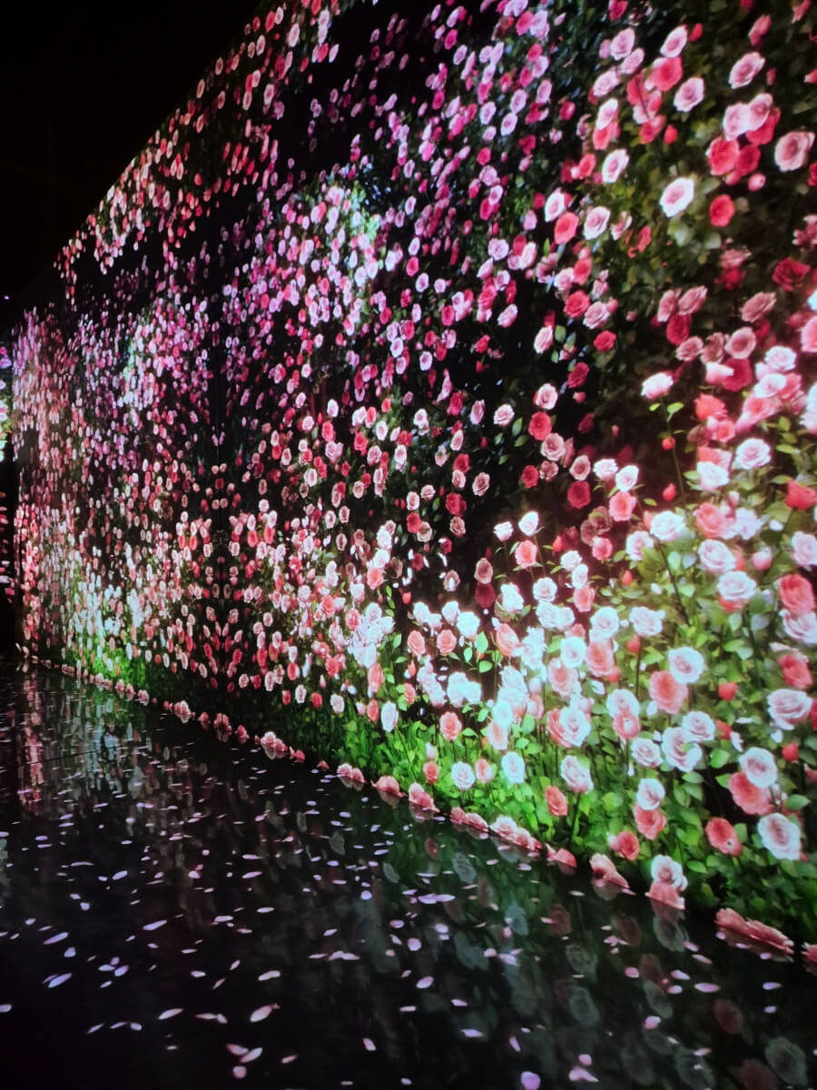 겨울방학 부산여행 추천