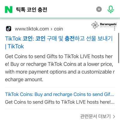 틱톡 코인 충전