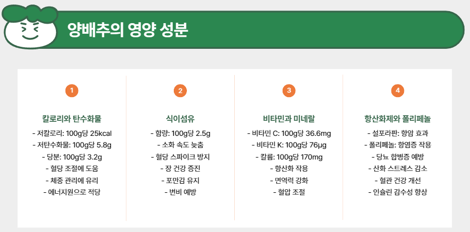 양배추의 영양 성분